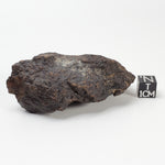 Dhofar 221 Meteorite | 117 Grams | Individual | L5 Shocked Chondrite | Sahara