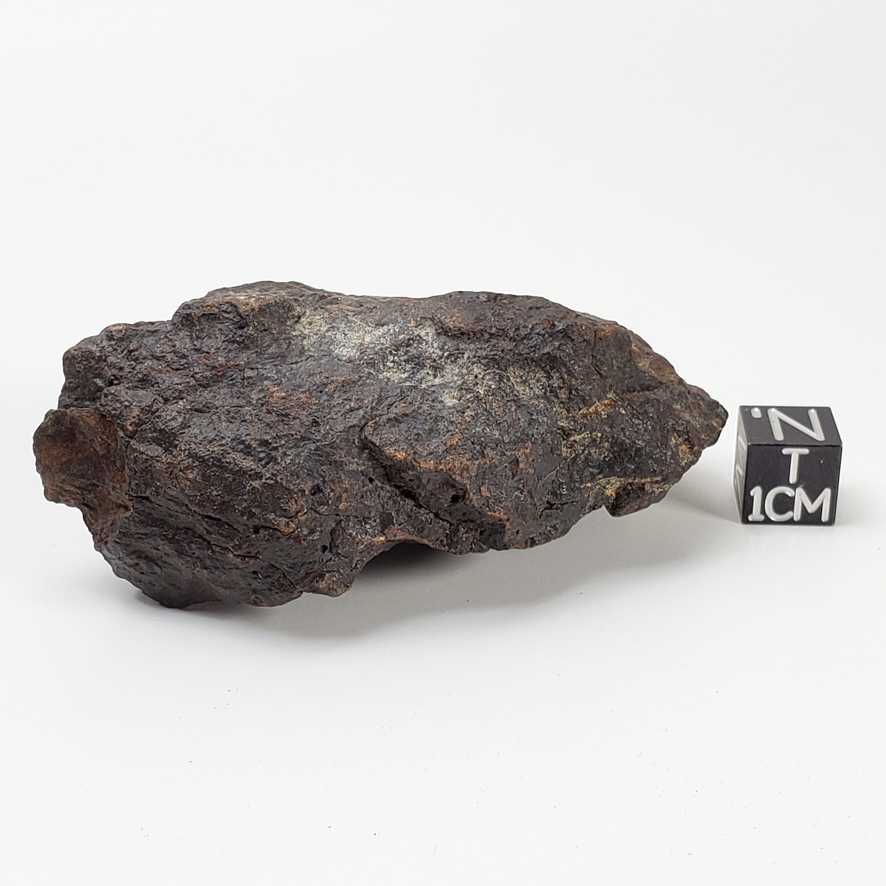  Dhofar 221 Meteorite 117 Grams L5 Shocked Chondrite  