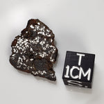  NWA 1879 Meteorite | 4.16 Gr | Part Slice | Found 2003 | Stony Iron Mesosiderite | Morocco 