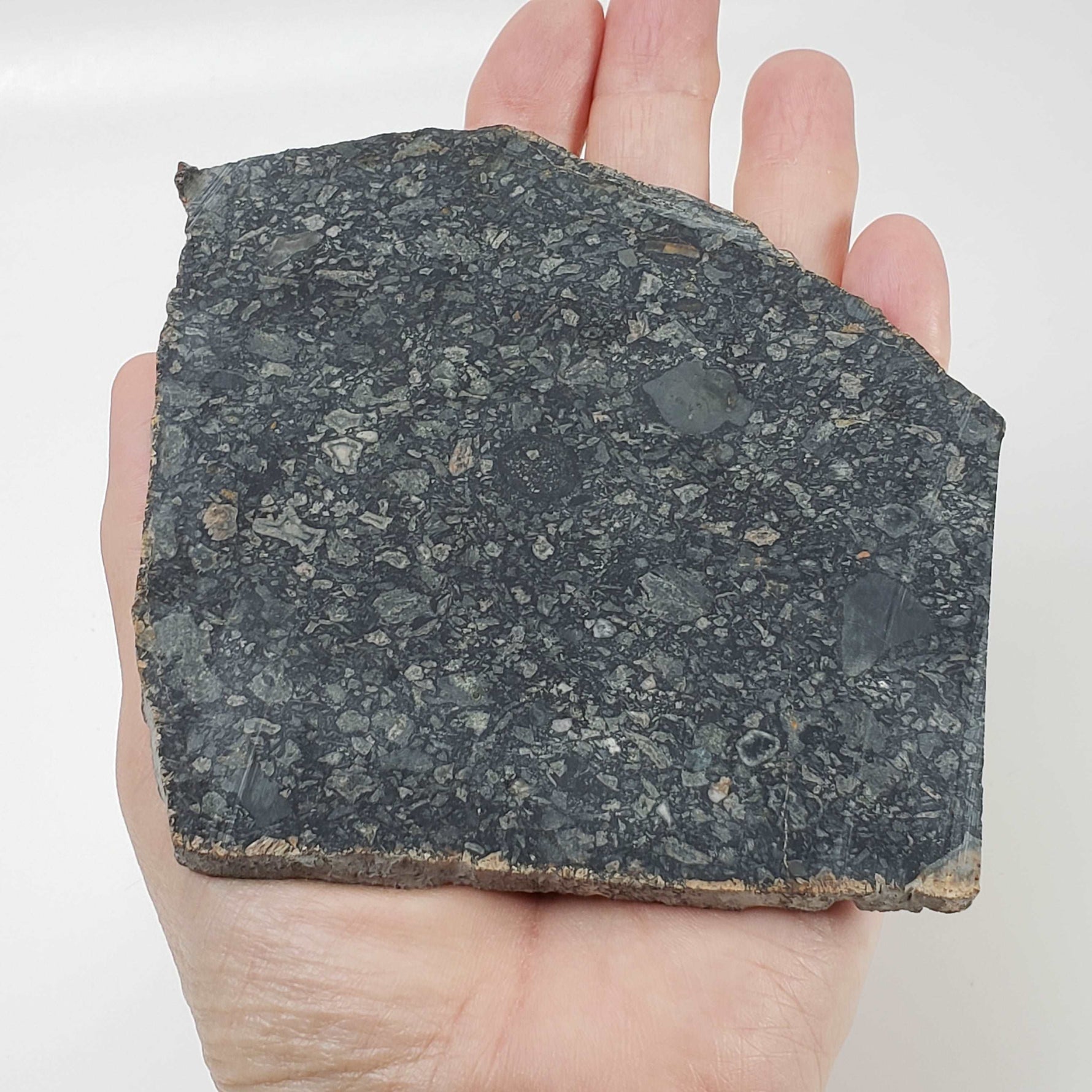 Black Onaping | 191 Grams | Impactite Breccia Slice | Sudbury Structure, Canada