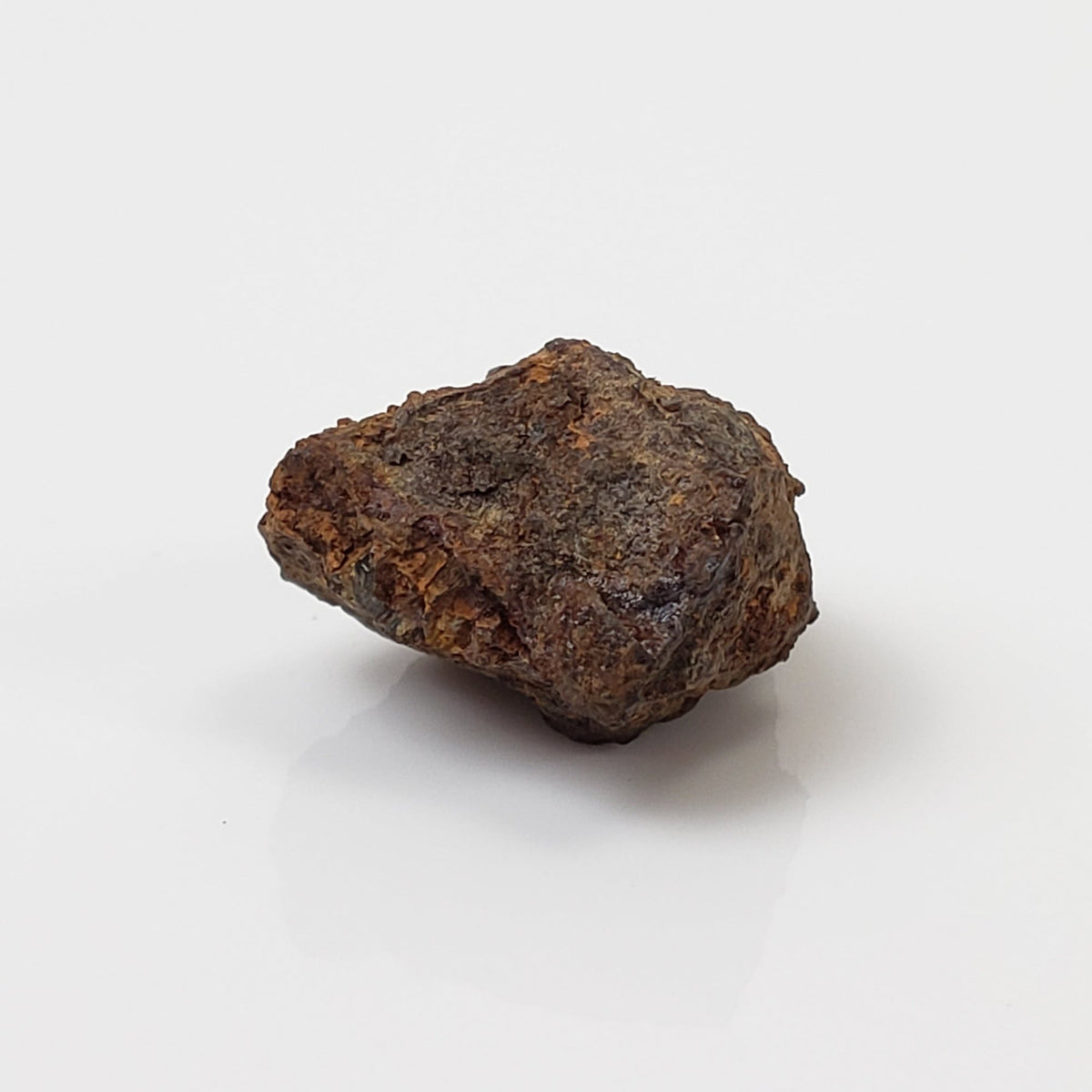   Vaca Muerta Meteorite | 2.73 Grams | Individual | Mesosiderite A1 | Chile 