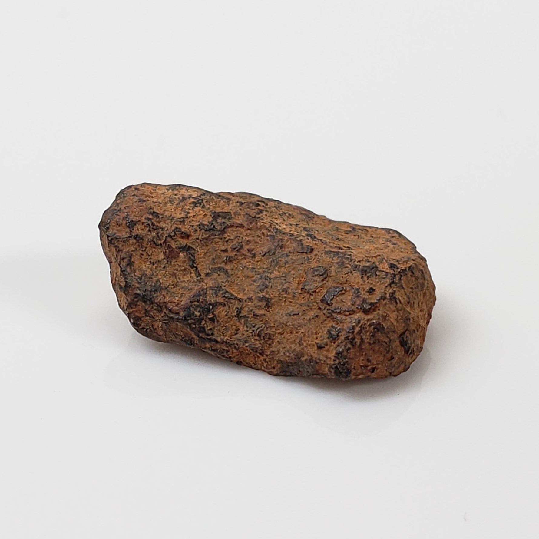 Veevers Meteorite | Rare Large 1.74 Gr | Individual | Iron IIB | Australia