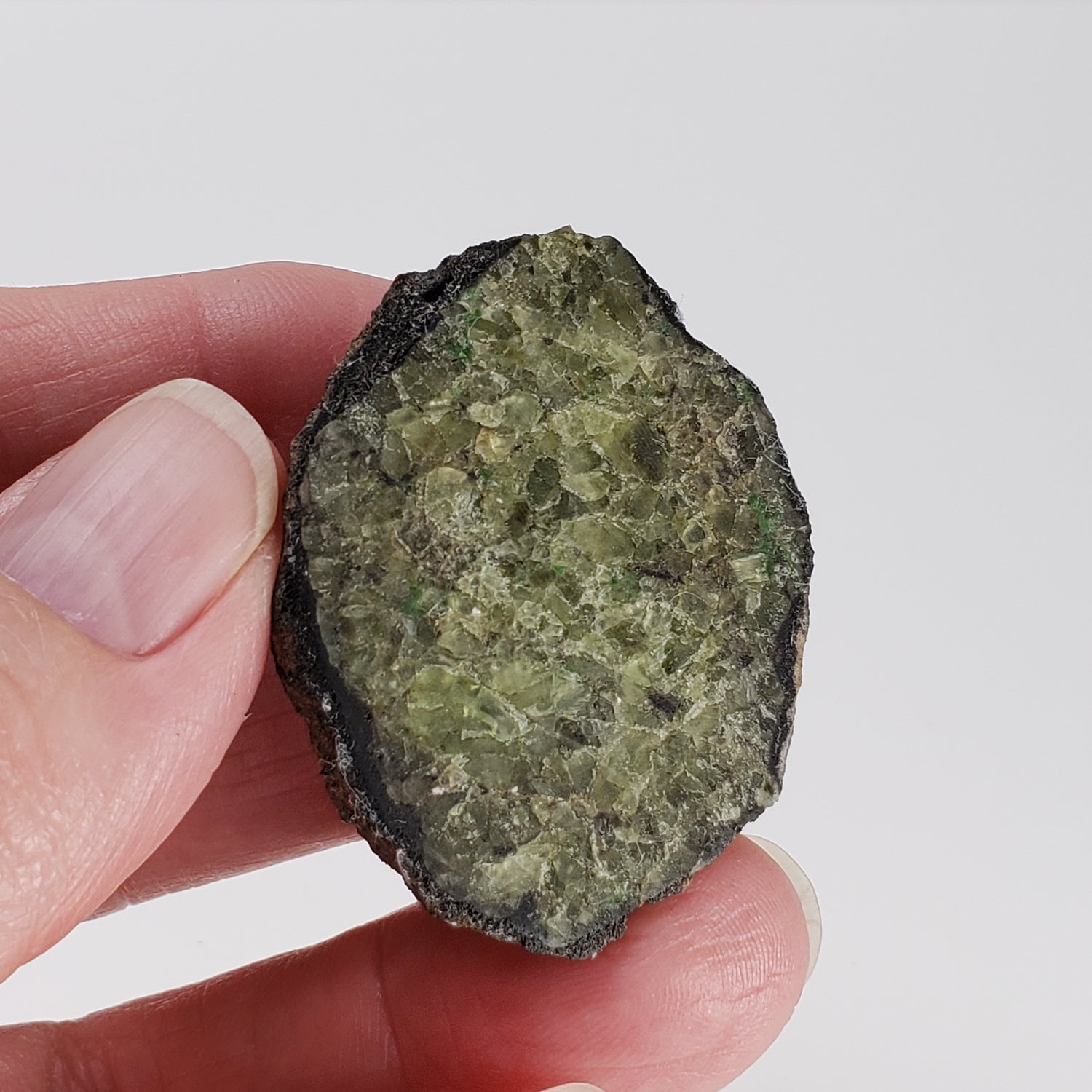 Olivine Volcanic Bomb | Lava Coated Crystal | 23 gr | Mt Shadwell Volcano, Australia