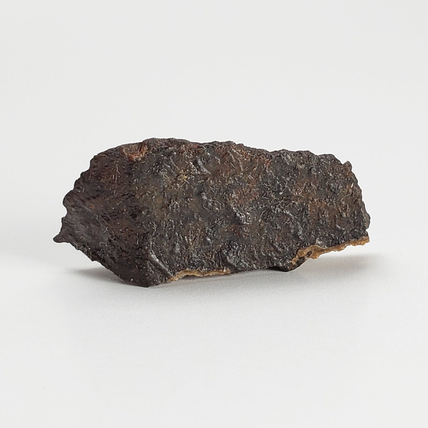 Dhofar 273 Meteorite | 1.8 Grams | Part End Cut | L5 Chondrite | Sahara