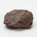 NWA 4293 Meteorite | 13.29 Grams | Individual | H6 Chondrite