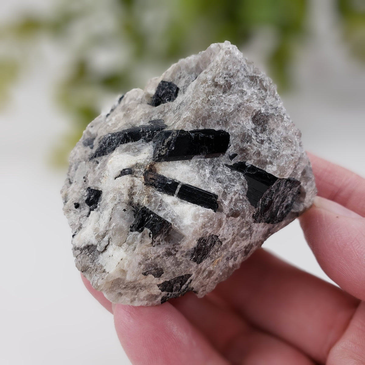  Natural Tourmaline on Quartz | Raw Schorl Crystal | 181.66 grams | Fitchburg, MA, USA 