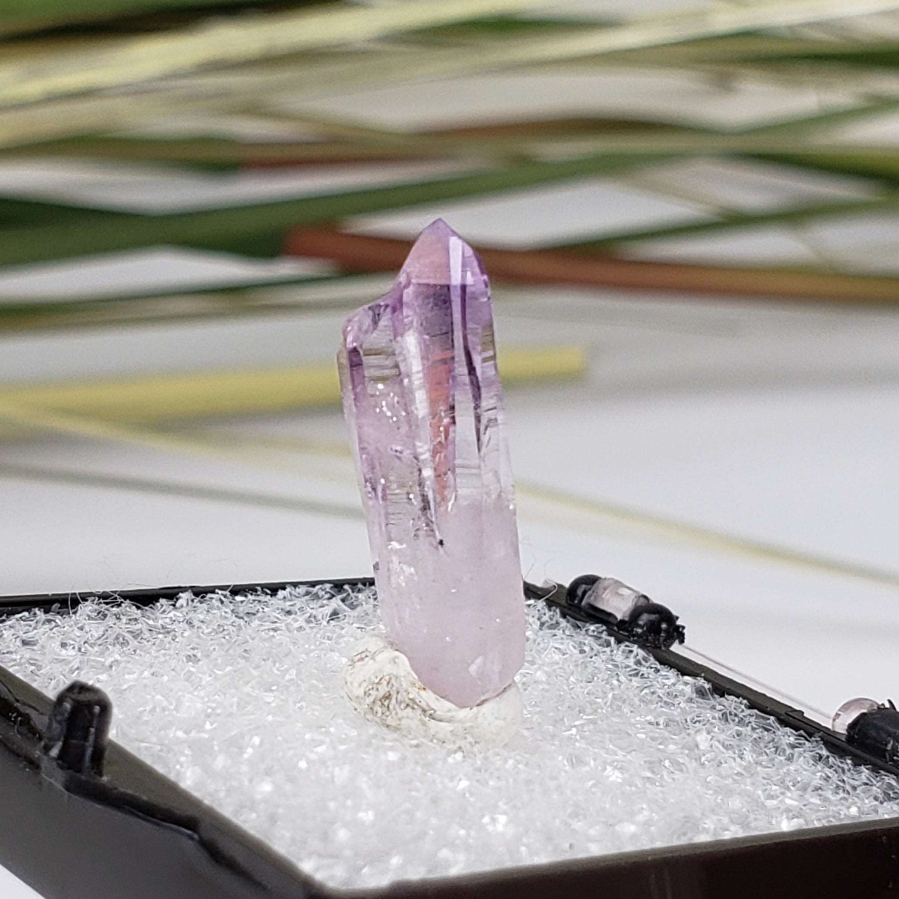  Amethyst | Perky Box Thumbnail Specimen | Veracruz, Mexico 