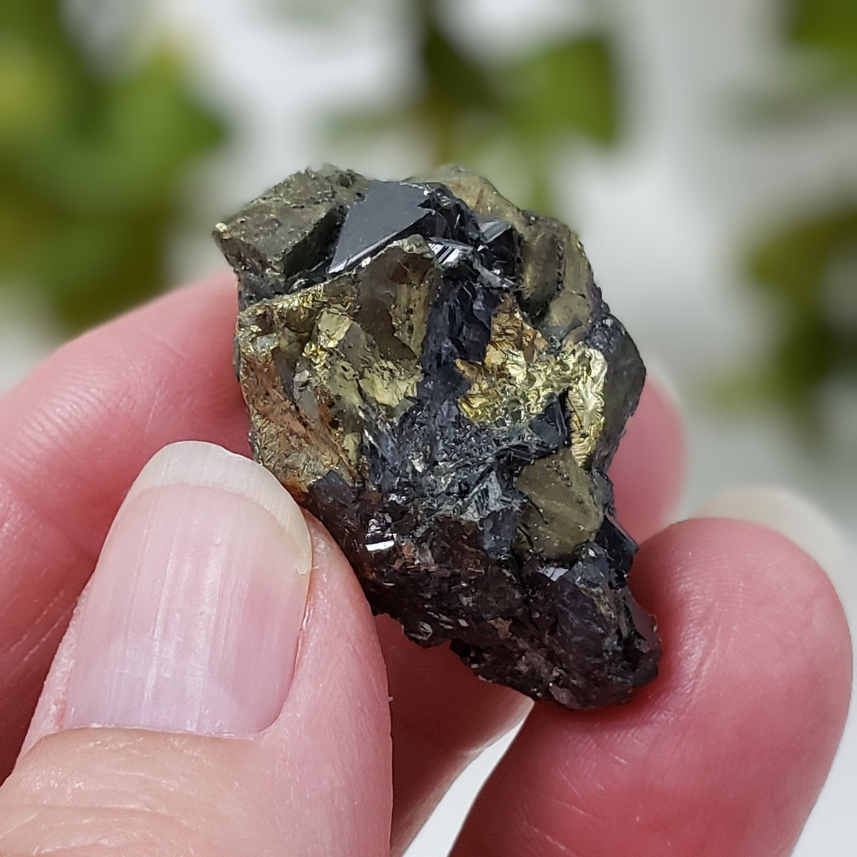 Chalcopyrite and Sphalerite Crystal Cluster | 25.3 grams | China