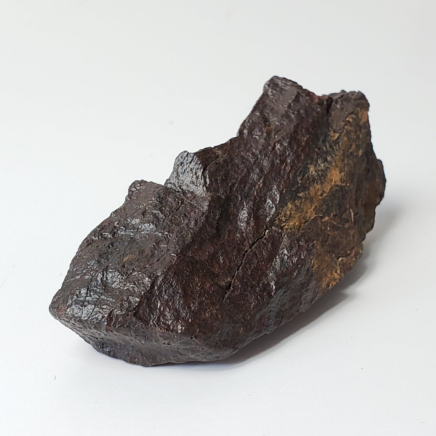 Dhofar 020 Meteorite | 49.8 Grams | Individual | H4/5 Shocked Chondrite | Oman Sahara Y2K