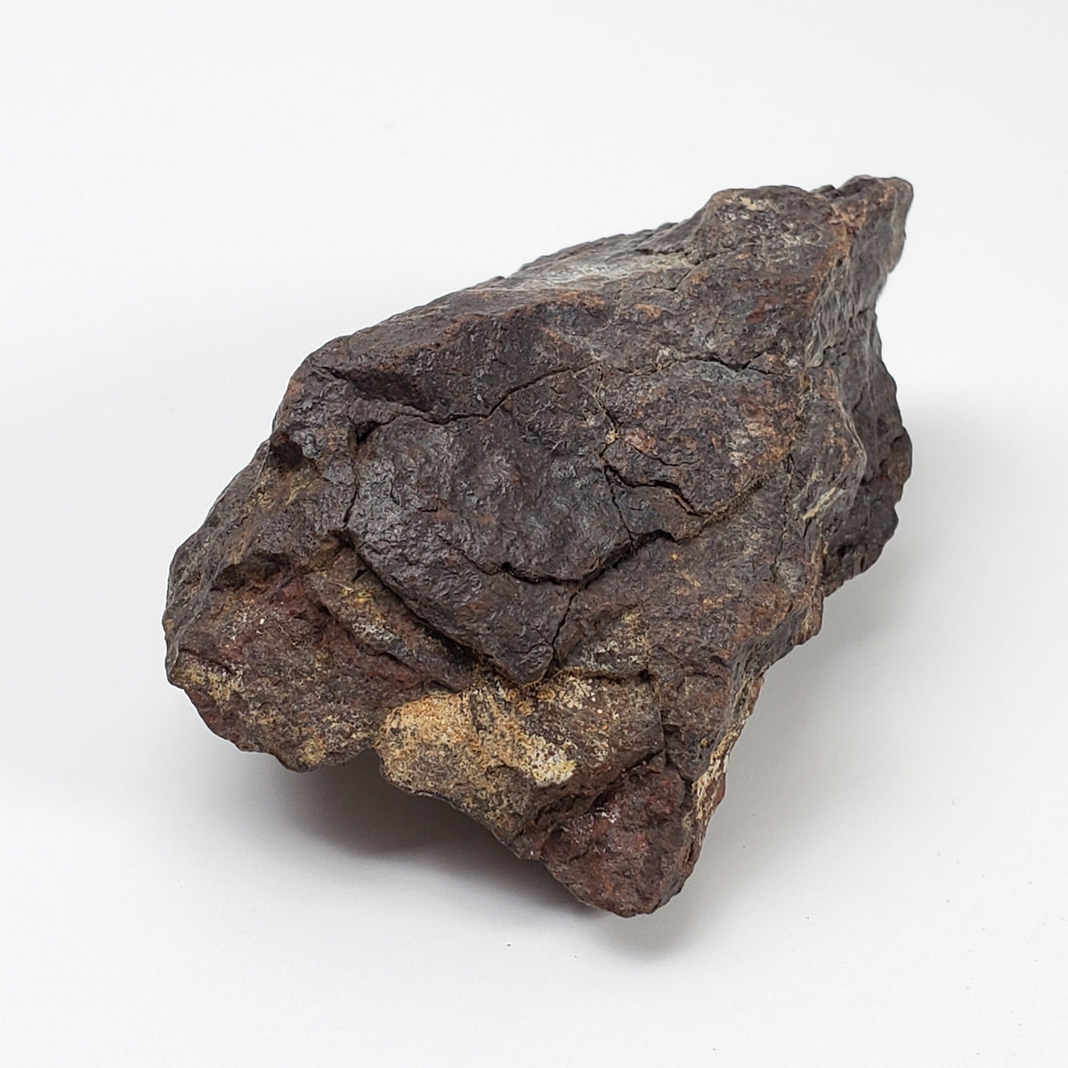  Dhofar 221 Meteorite 117 Grams L5 Shocked Chondrite  