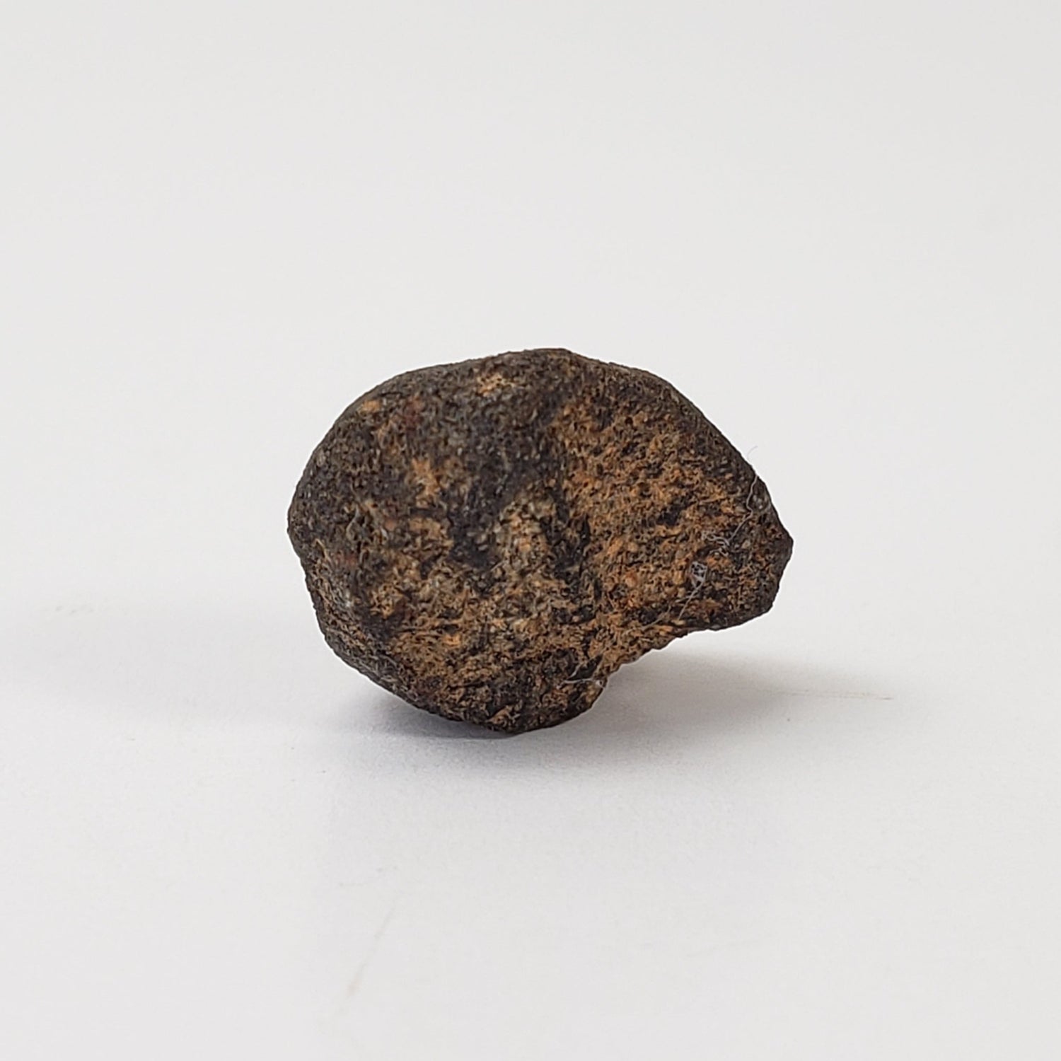 Camel Donga Meteorite | 1.42 Grams | Crusted Individual | Eucrite | Australia | Canagem.com