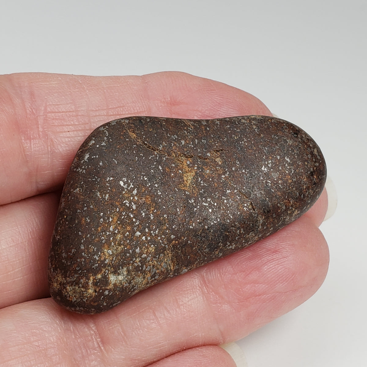 Northwest Africa NWA Meteorite | 40.8 Grams | Individual | Tumbled Meteorite | Sahara