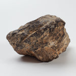 NWA 2965 Meteorite | 45.89 Grams | Individual | EL-Melt Rock | Fossil Paleomet