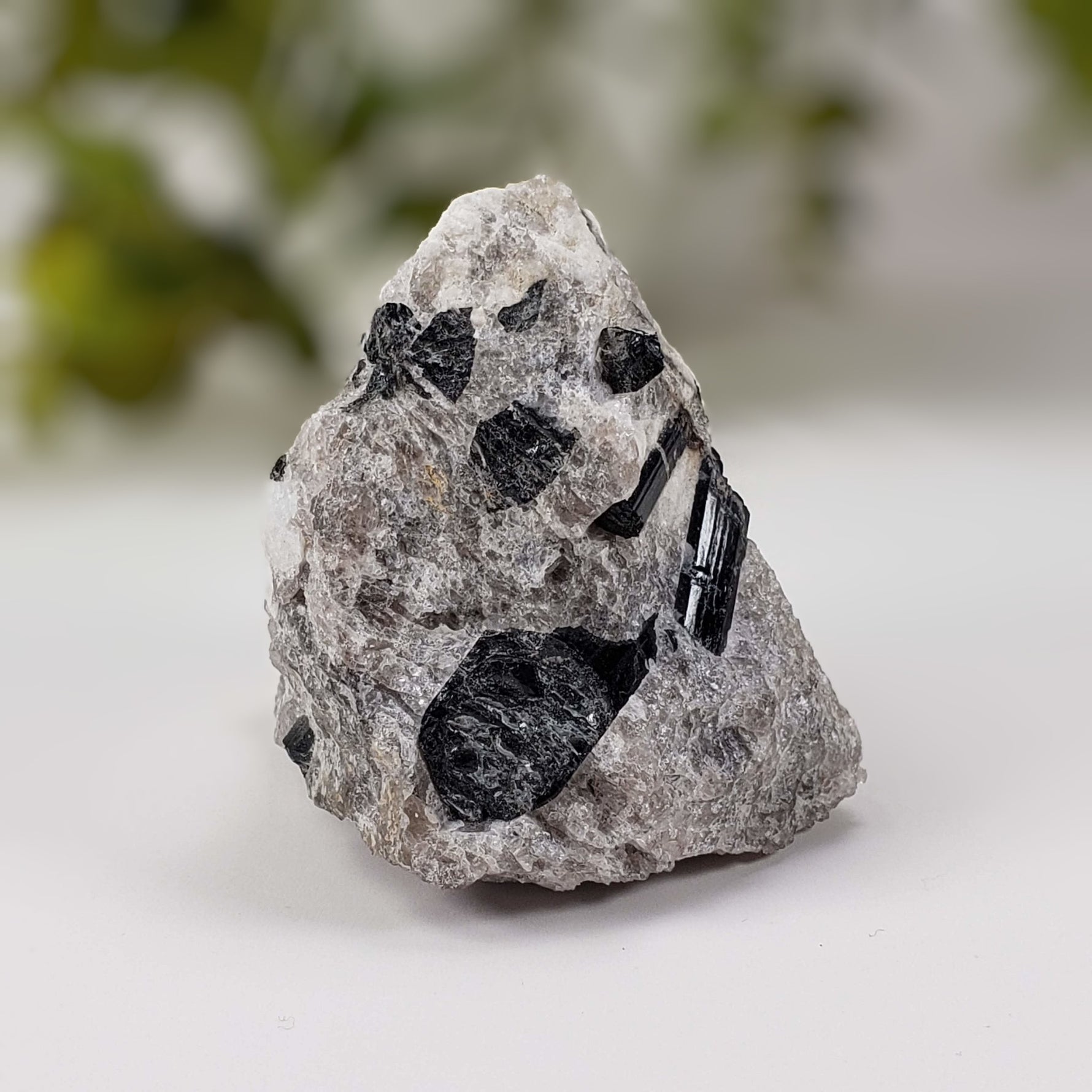  Natural Tourmaline on Quartz | Raw Schorl Crystal | 181.66 grams | Fitchburg, MA, USA 