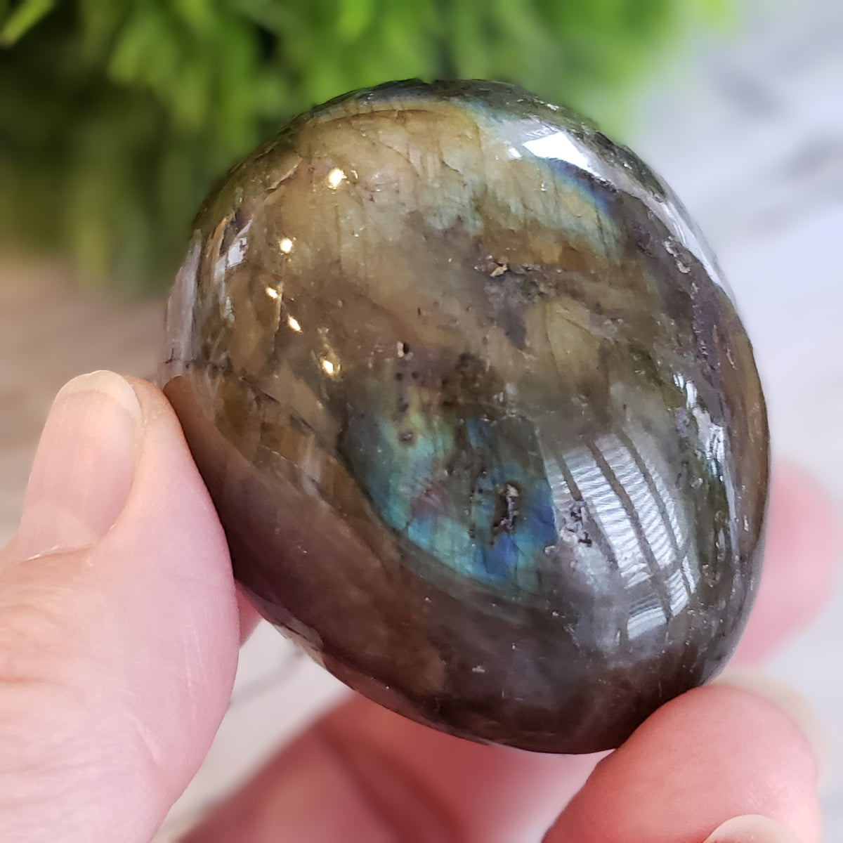  Labradorite Egg Natural Gray Rainbow 160 gr from Madagascar 