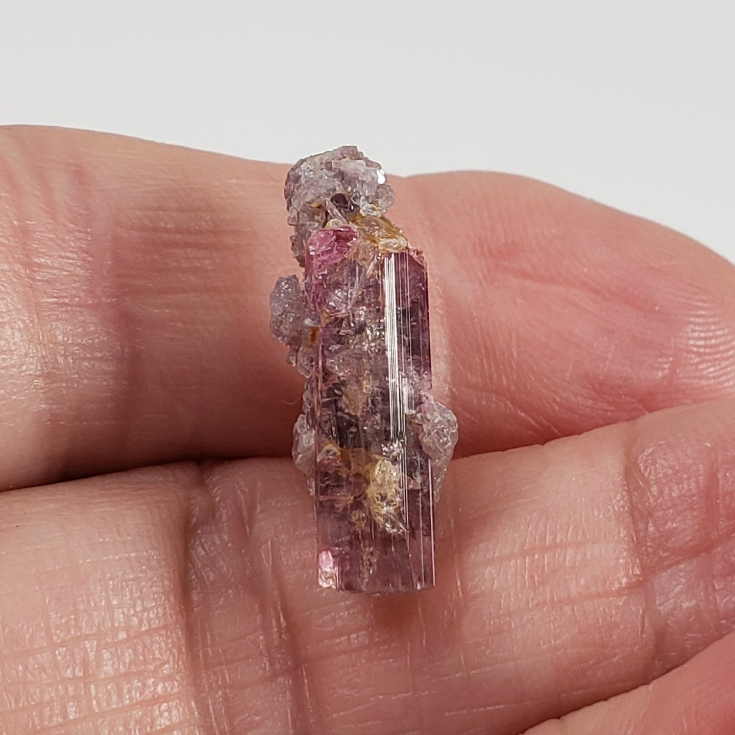   Tourmaline | Perky Box Thumbnail Specimen | Santa Rosa Mine | Minas Gerais, Brazil 