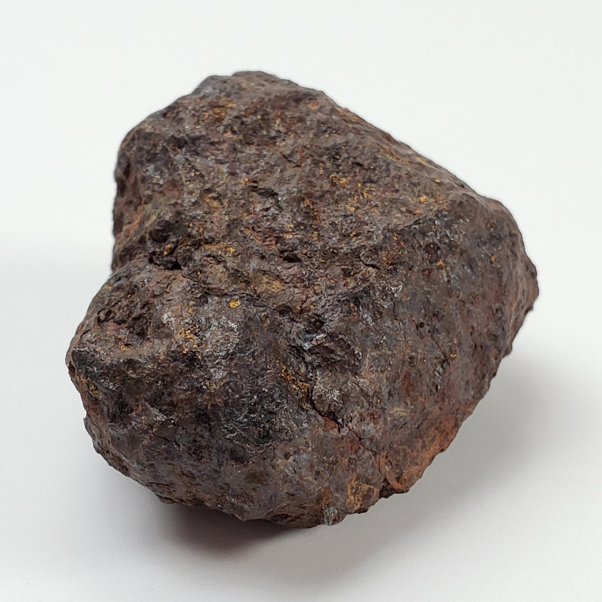 Vaca Muerta Meteorite | 40.52 Grams | Individual | Mesosiderite A1 | Chile