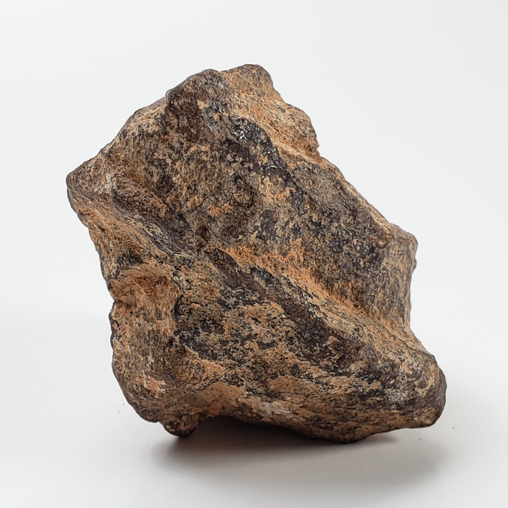 NWA 2965 Meteorite | 45.89 Grams | Individual | EL-Melt Rock | Fossil Paleomet