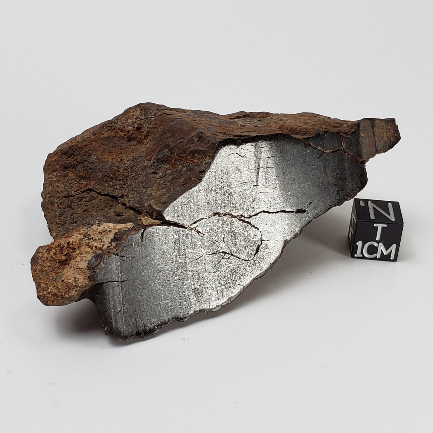 Northwest Africa NWA Meteorite | 184.3 Grams | Individual Cut Fragment | Sahara