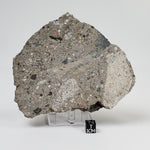 Impactite Melt Breccia Suevite | 506.7 grams | Ries Zipplingen, Germany