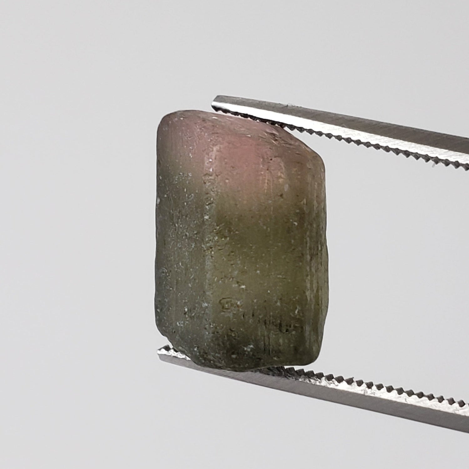 Cristal de tourmaline bicolore naturel | Tourmaline brute | 13 mm 9,4 cts | Afrique