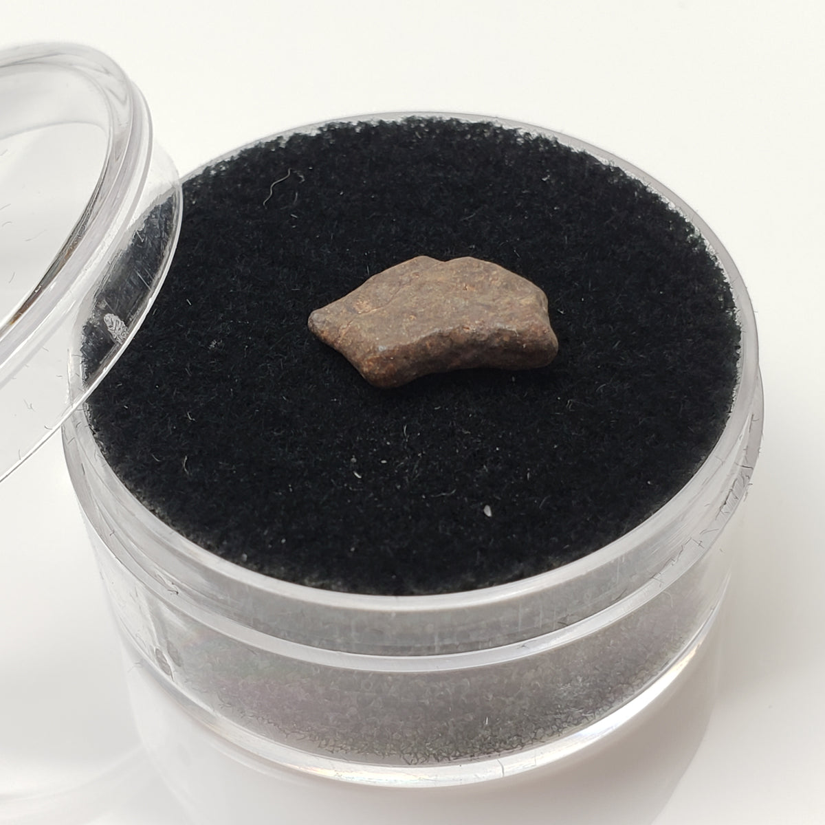 NWA 4293 Meteorite | Micro Specimen Individual | H6 Chondrite | Gem Jar