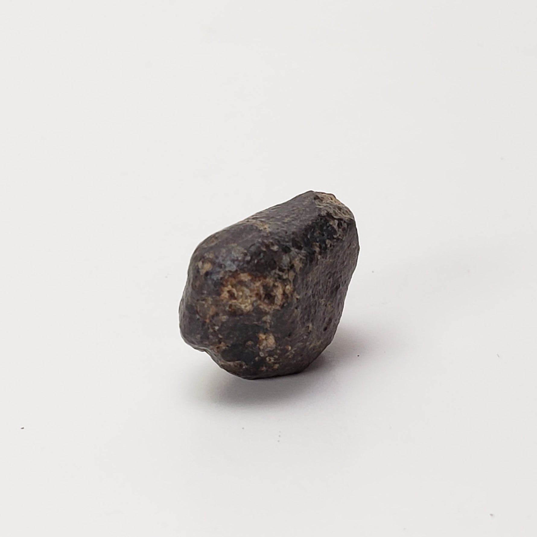  NWA 869 Meteorite | 4.78 Gr | Individual | L3-6 Chondrite | Crusted Specimen | SO24 