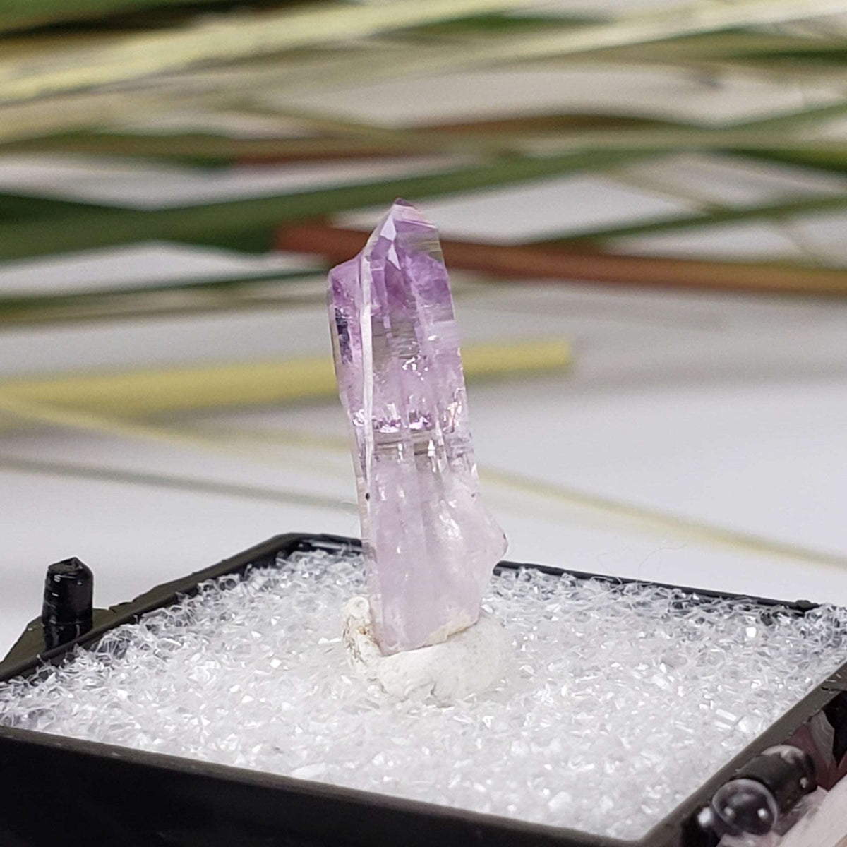  Amethyst | Perky Box Thumbnail Specimen | Veracruz, Mexico 