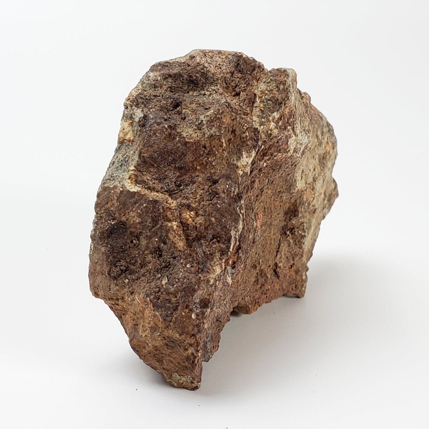 Impactite Breccia Suevite | 40.8 Grams | Chassenon, Rochechouart Structure, France