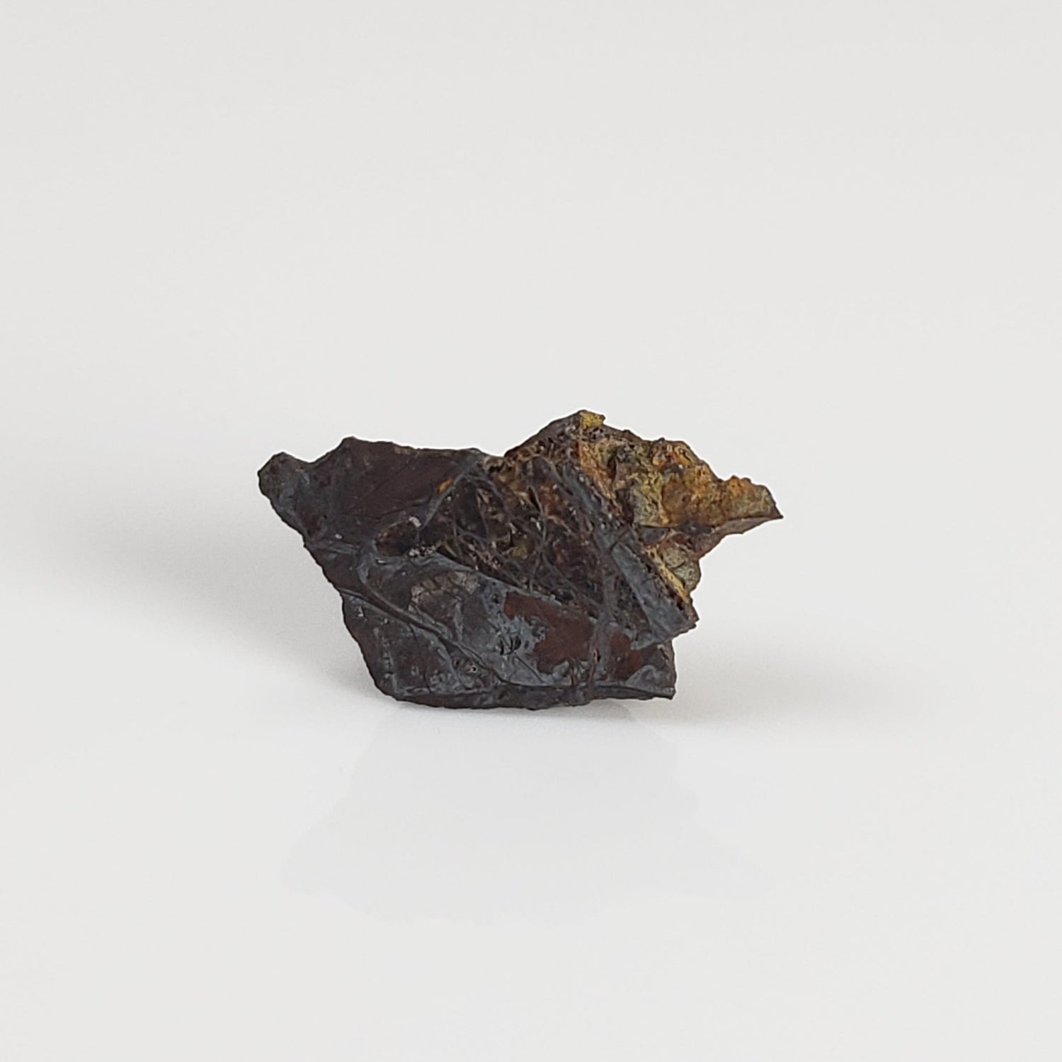 Météorite Huckitta | 200 milligrammes | Fragment | Fer pierreux pallasite | Rare | Australie
