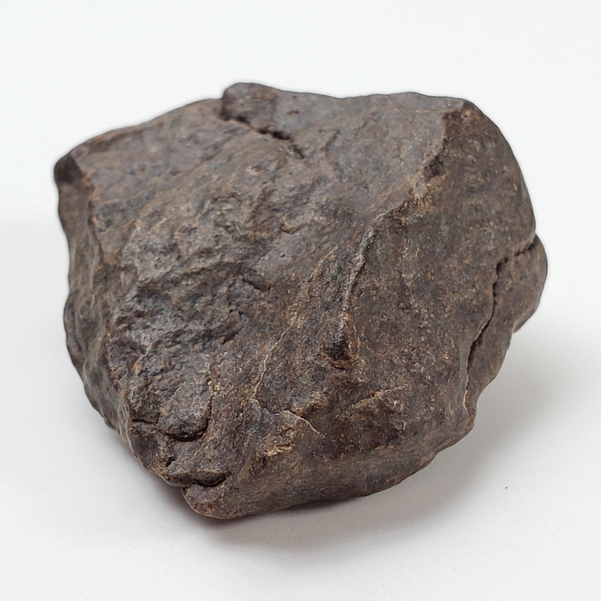 NWA 4293 Meteorite | 13.29 Grams | Individual | H6 Chondrite