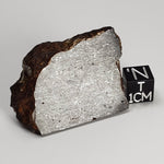 Dhofar 273 Meteorite | 29 Grams | Part End Cut | L5 Chondrite | Sahara