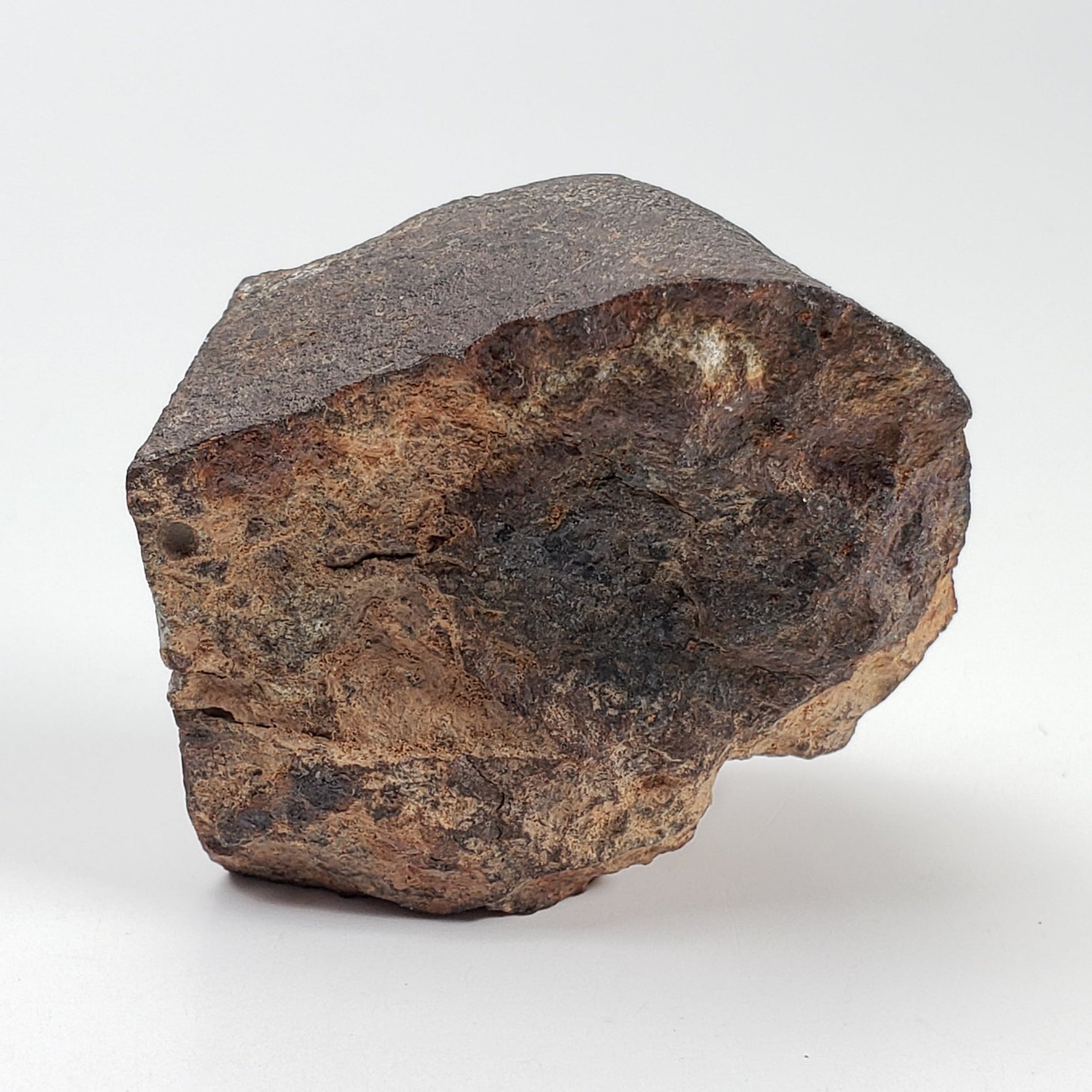 Northwest Africa NWA Meteorite | 52.7 Grams | Individual Cut Fragment | Sahara