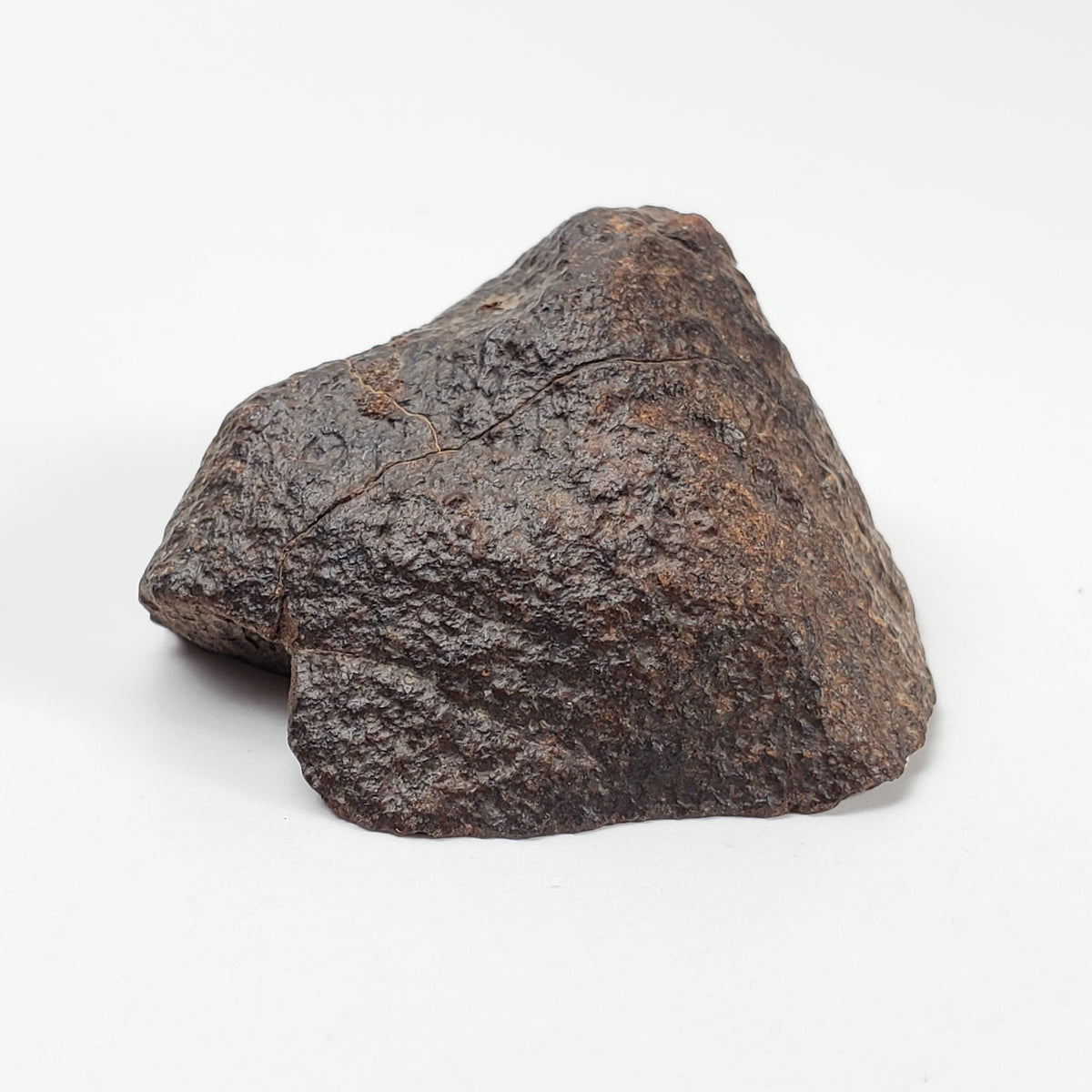 Northwest Africa NWA Meteorite | 44.5 Grams | End Cut | Sahara