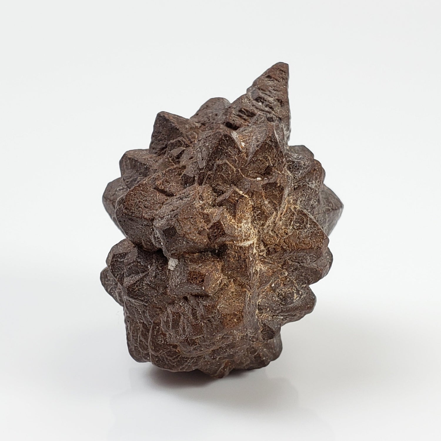 Pseudomorph Goethite After Marcasite | Prophecy Stone | 17 gr | Farafra Oasis, Egypt