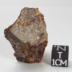 Gold Basin Meteorite | 24.22 Grams | L4 Chondrite | Arizona