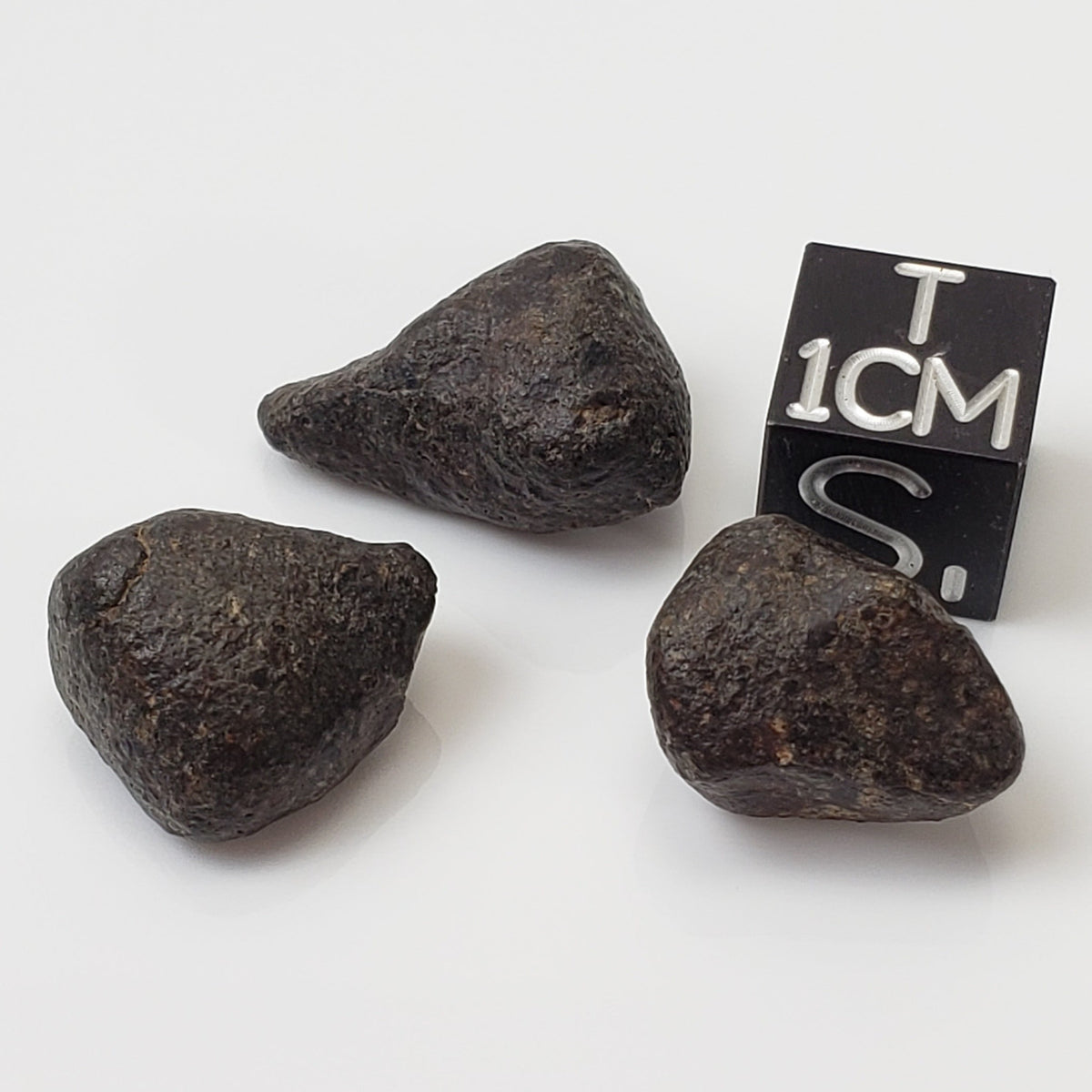 NWA 869 Meteorite | 3 Piece Lot | 8.1 Gr | Individual | L3-6 Chondrite | Crusted Specimen