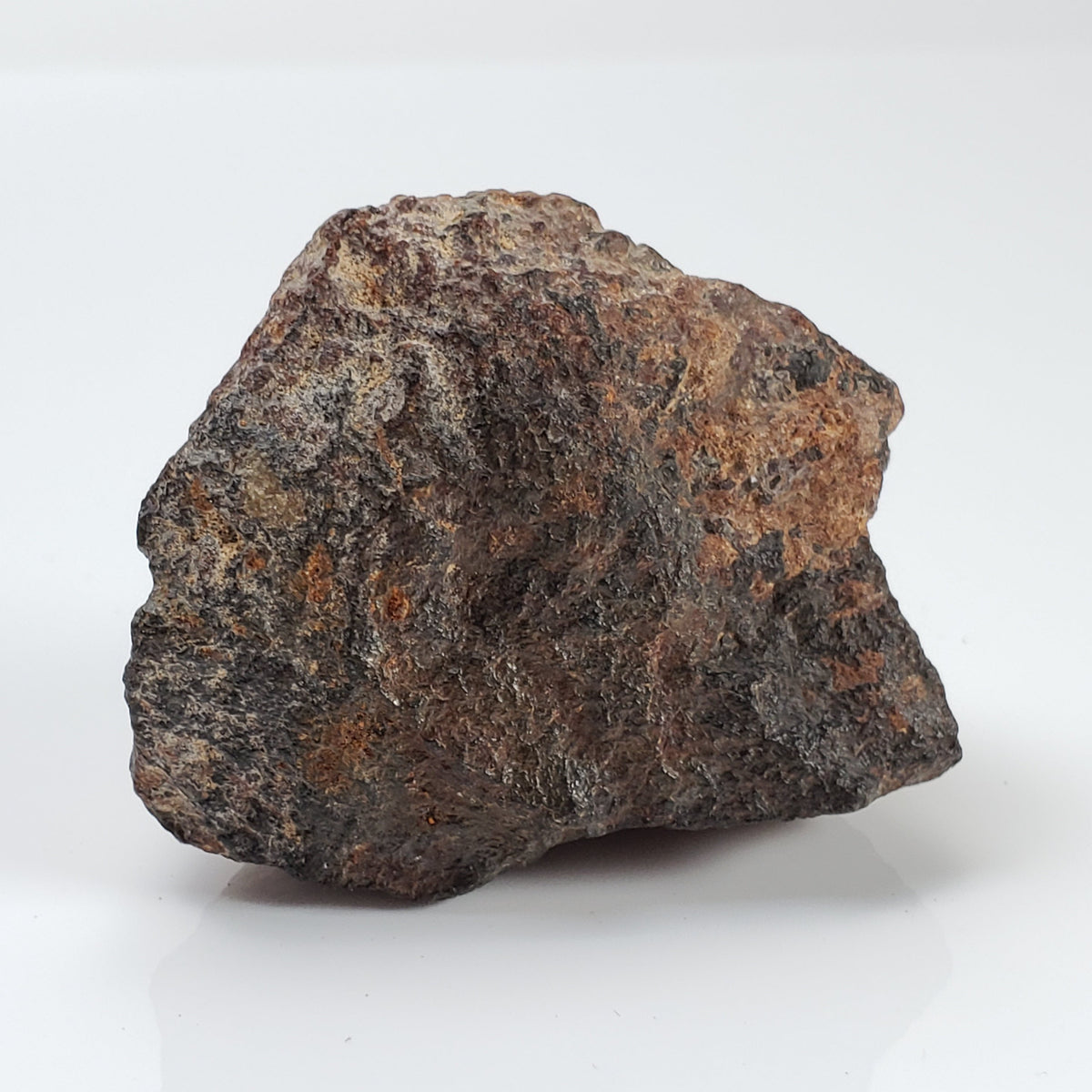  Ghubara Meteorite 74 Gr Individual Rare Stony Black L5 Chondrite 