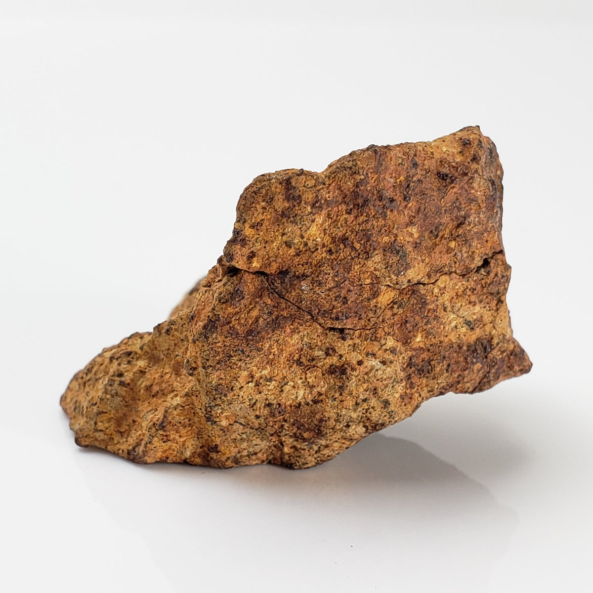 Gold Basin Meteorite | 24.22 Grams | L4 Chondrite | Arizona