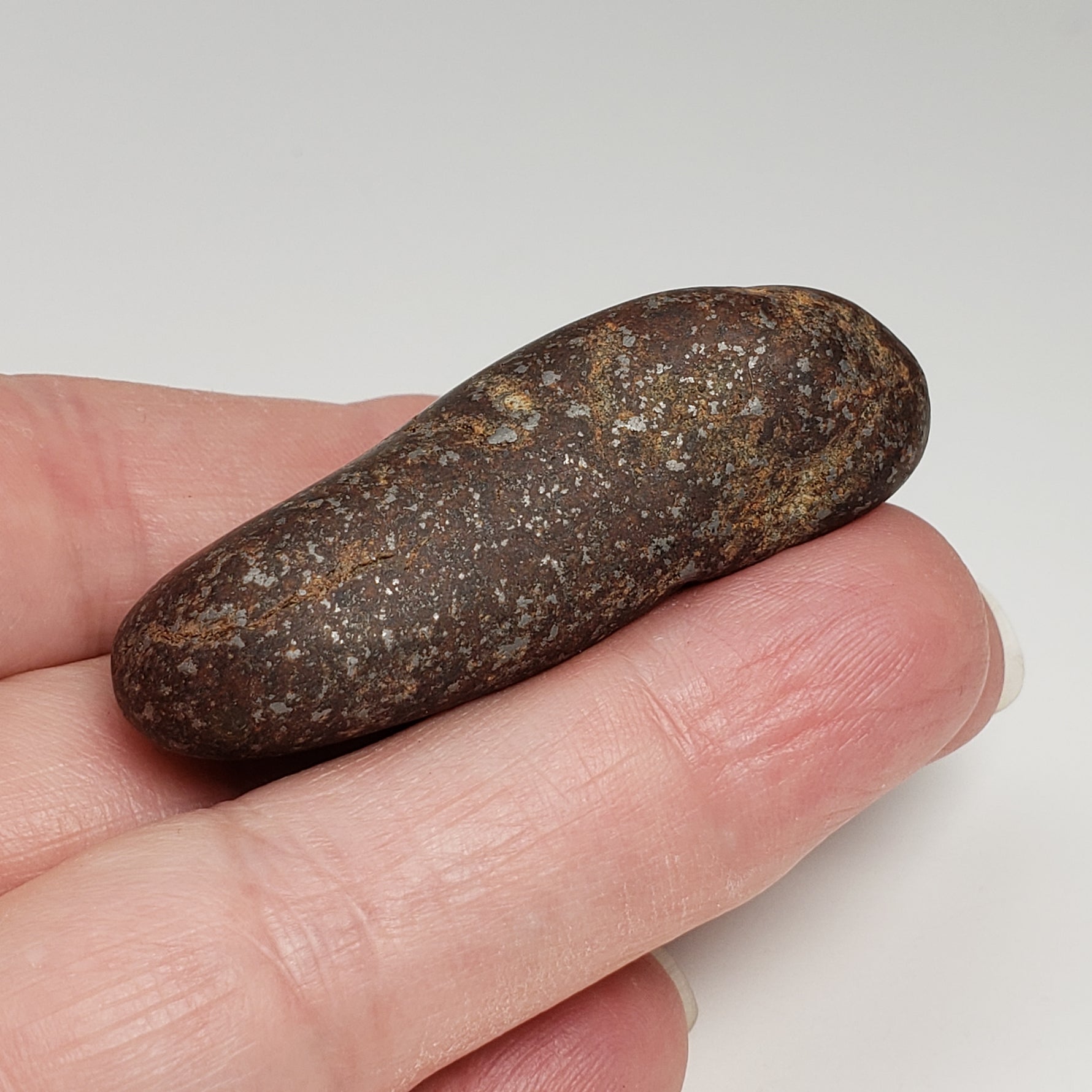 Northwest Africa NWA Meteorite | 40.8 Grams | Individual | Tumbled Meteorite | Sahara