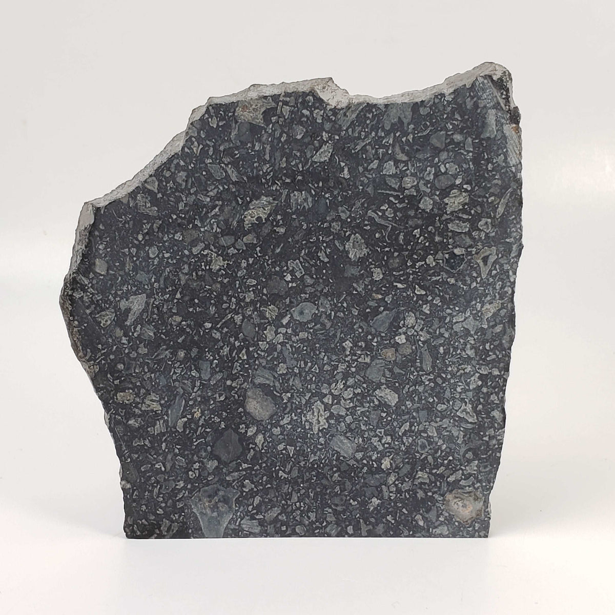 Black Onaping | 217 Grams | Impactite Breccia Slice | Sudbury Structure, Canada