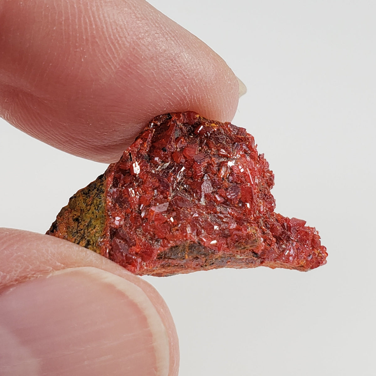 Realgar Crystal Cluster | 2.4 Grams | Green River Gorge, King Co., Washington