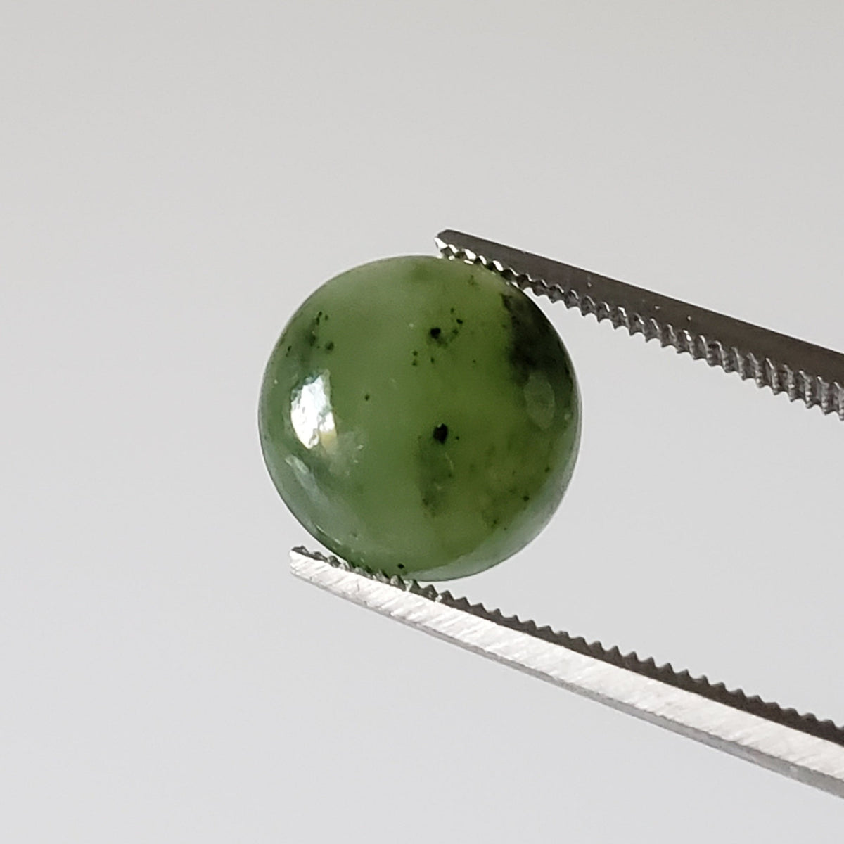 Nephrite | Round Cabochon | Green | 10mm | Canada