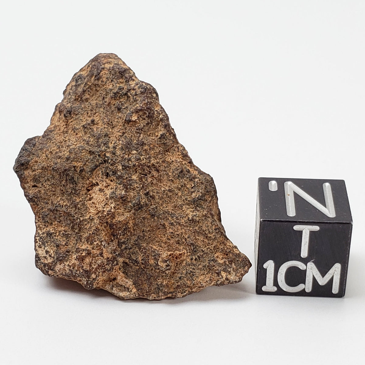  NWA 267 Meteorite 10.8 Gram| H4 Chondrite Used in Legal Tender Coin 