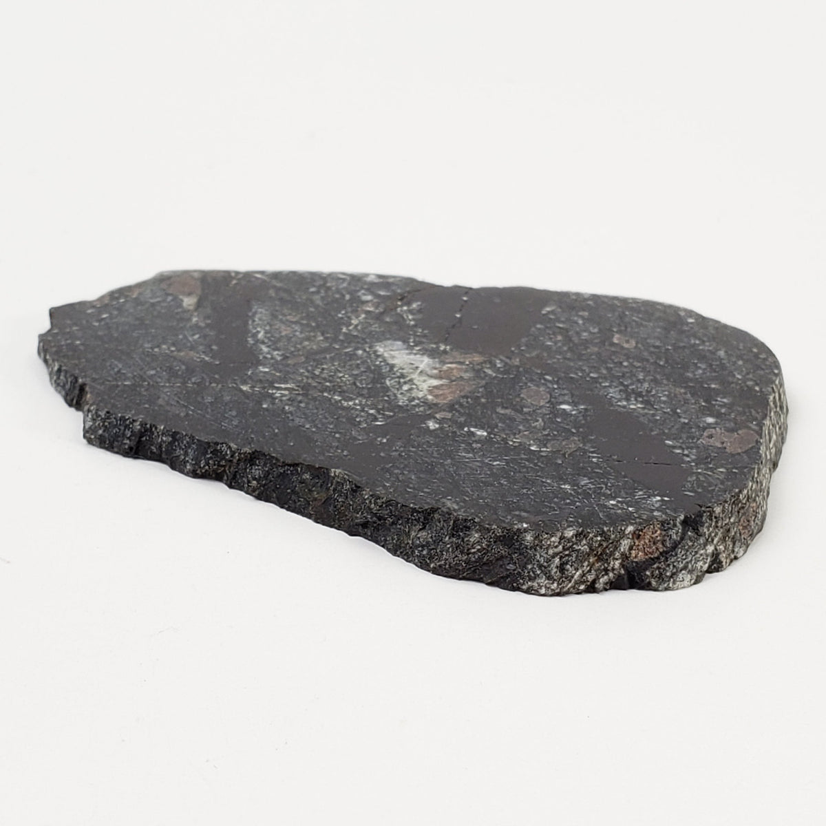   HT Tagamite Impact Melt Rock | 38.6 grams | Dellen Crater, Sweden 