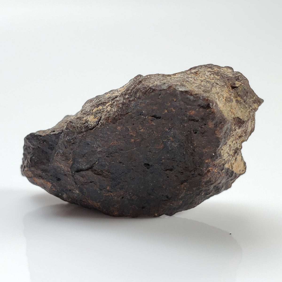  Dhofar 221 Meteorite 8.58 Grams Individual L5 Shocked Chondrite Sahara 