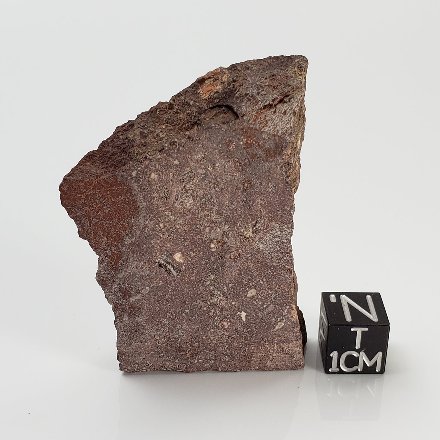  Impactite Melt Rock | 30.89 Grams | Babaudus Impactite, France | Rochechouart Structure 