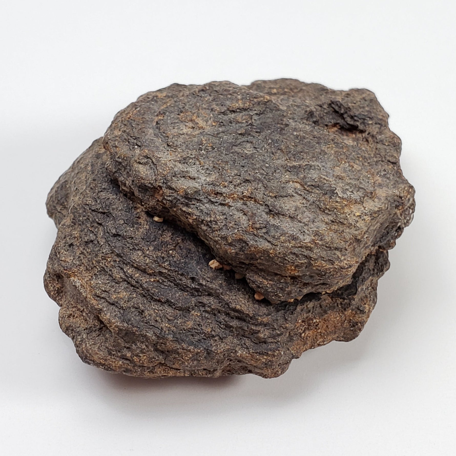 NWA 2965 Meteorite | 49.85 Grams | Individual | EL-Melt Rock | Fossil Paleomet