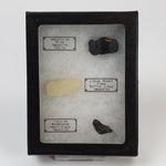   Impactite-in-a-Box  Mini World Collection Trio | Tektites | Indochinite, Libyan Desert Glass and Irghizite 