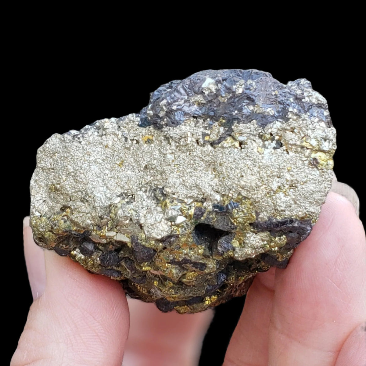  Pyrite on Marmatite Cluster 209.7 grams from Eagle X Mine, Colorado Classic 